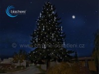 Grafický návrh vánočního stromu Blachere FL520